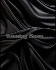Sleek Straight Wig 13x6 (200%)
